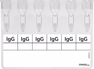 STARGEL10 Anti-IgG